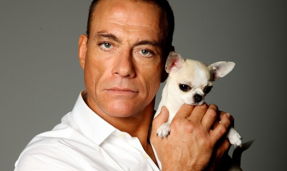  Jeano-Claude'o Van Damme'o fotosesija su čihuahua (2011 m.)