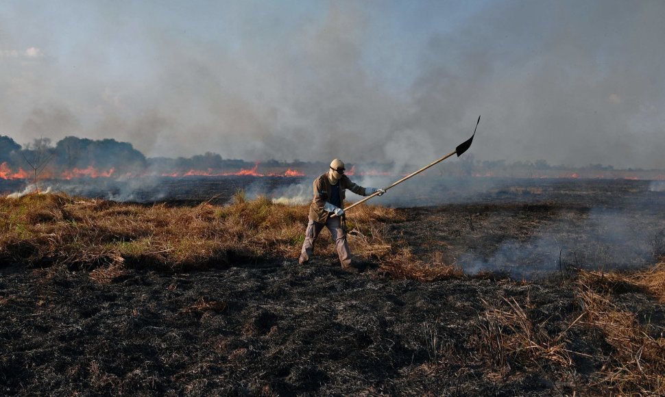 Nevyriausybinės organizacijos gamtosaugininkas gesina gaisrą Pantanalio regione.