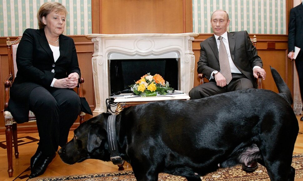 A. Merkel / DMITRY ASTAKHOV / AFP