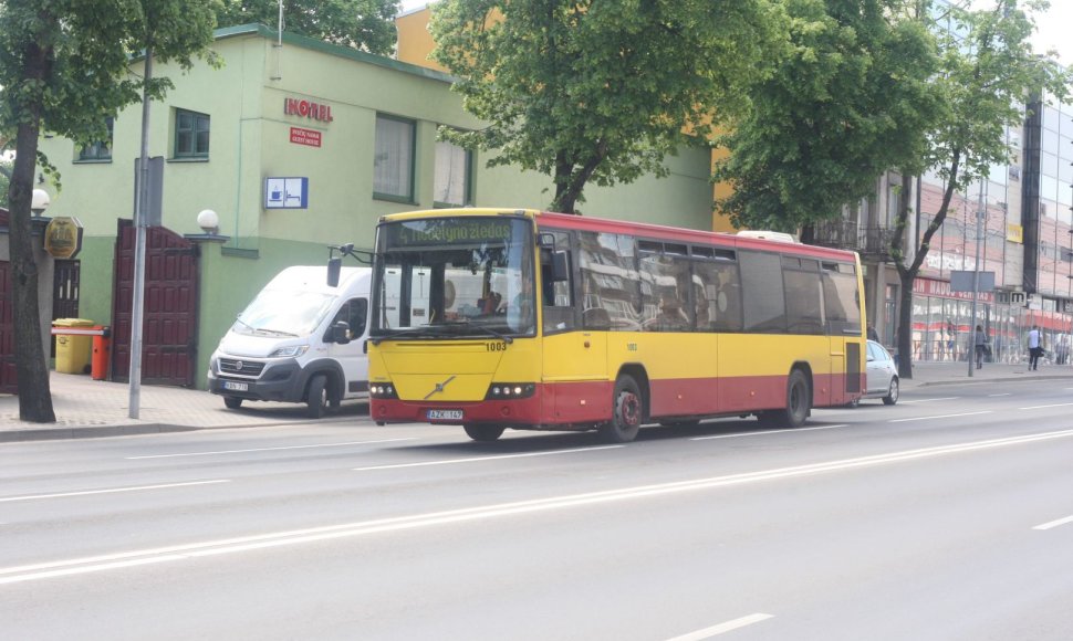 Šiaulių „Busturo“ darbuotojai mitinge reikalavo keisti bendrovės vadovybę