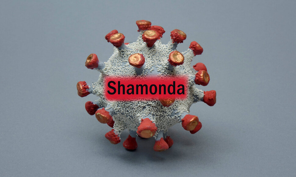 „Shamonda“ virusas/ Iliustratyvinė nuotr.