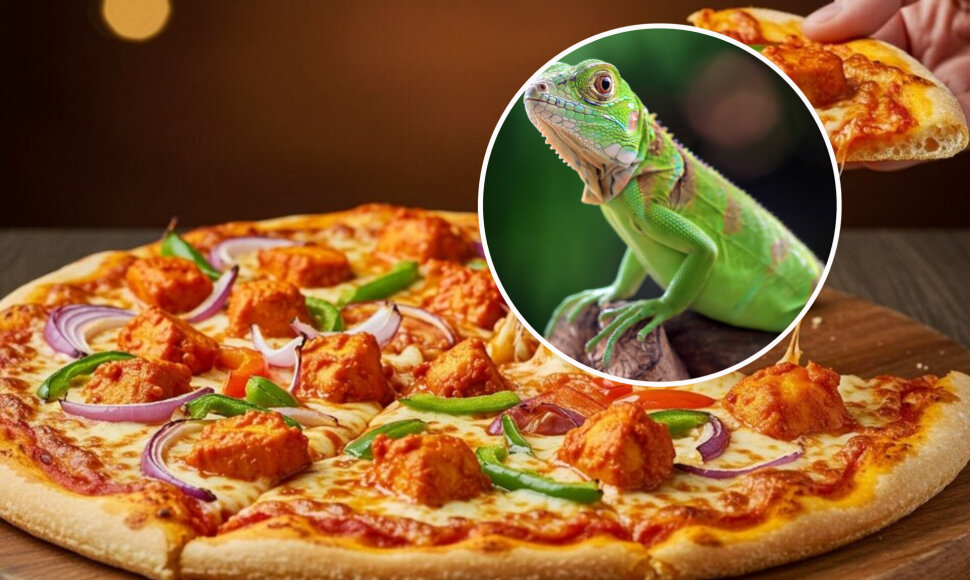 Floridos picerija pagamino picą su iguanos mėsa