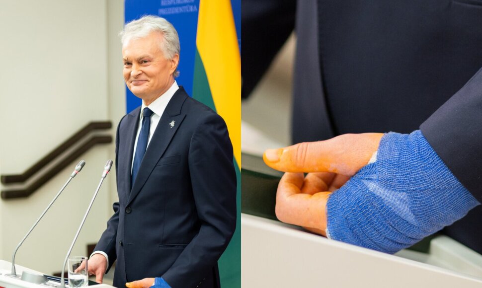 Gitano Nausėdos trauma