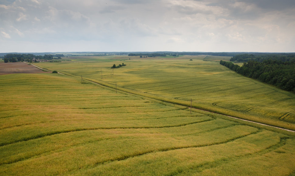 Tytuvėnų apžvalgos bokštas