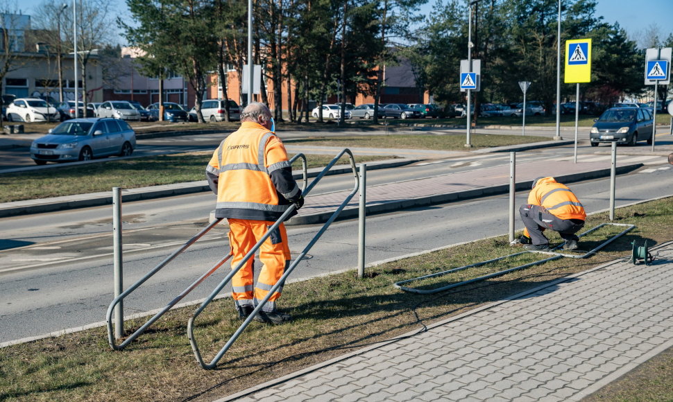 Vietoje metalinių eismo saugumo atitvarų Vilniuje bus sodinami krūmai