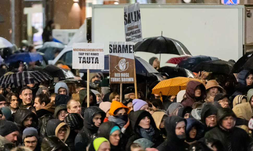 Protestas prie Seimo: „Dešimt tylos minučių" 