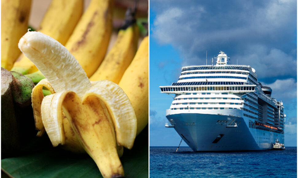 Ką kruiziniame laive rei&scaron;kia žodis &bdquo;bananas&ldquo;?