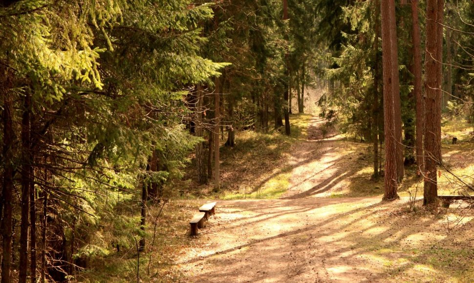 Kulautuvos pėsčiųjų sveikatingumo takai