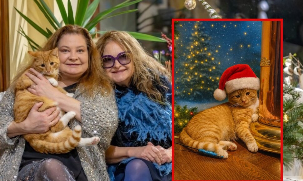 Birutė Petrikytė, Anželika Petrikytė, katinas Tigras