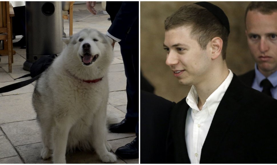 Yairas Netanyahu ir Benjamino Netanyahu šuo