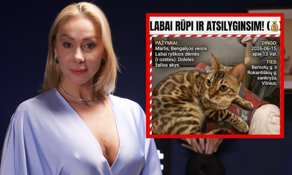 Rasa Vilkienė