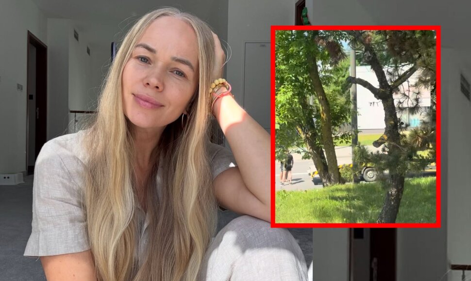 Ieva Voveris