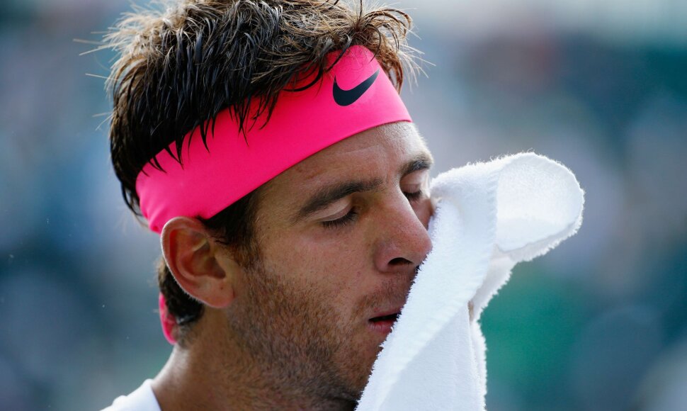 Juan Martin del Potro