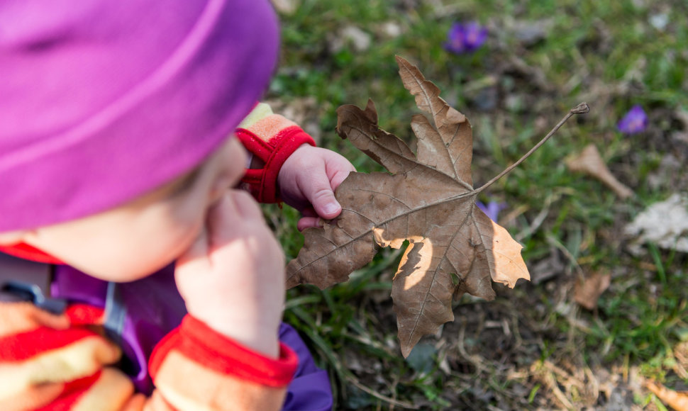 Vaikas valgo lapą