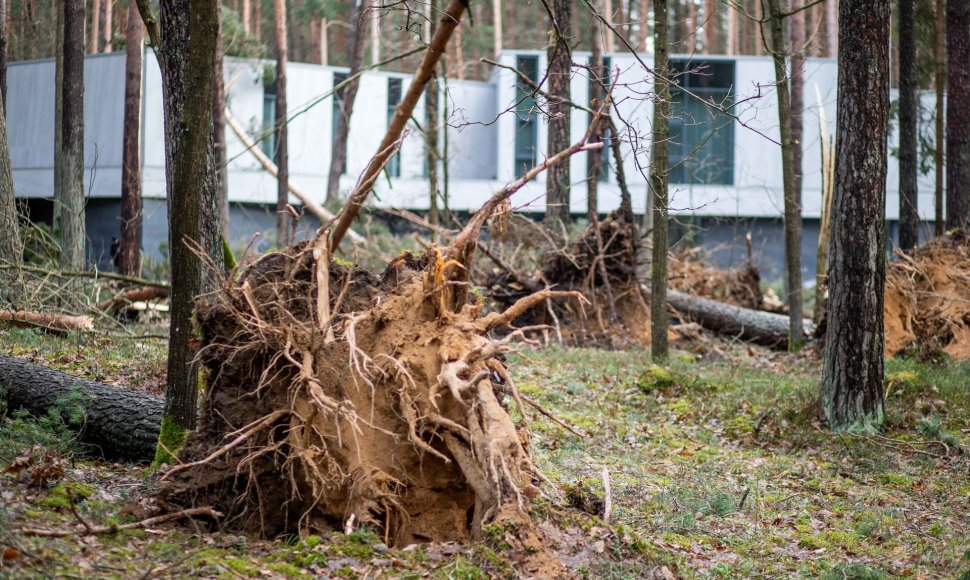 Stipraus vėjo padariniai Vilniaus mieste ir apylinkėse