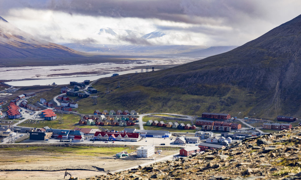 Svalbardo salynas