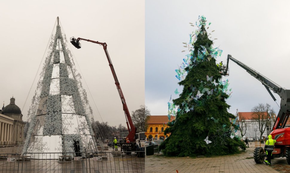 Puošiamos Vilniaus ir Kauno eglės