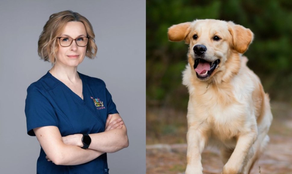 Veterinarijos gydytoja Marytė Reketytė ir šuo 