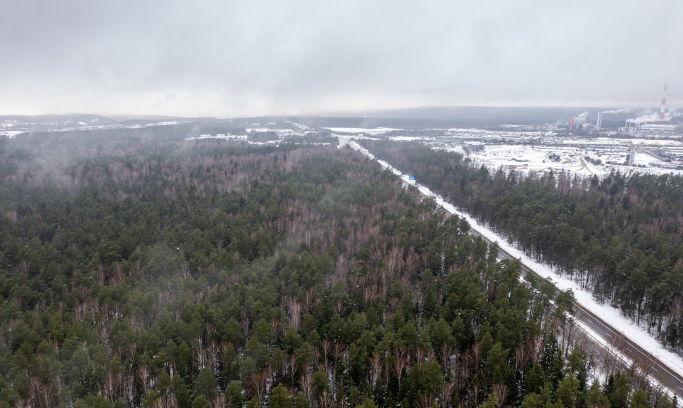 Miškas Panerių seniūnijoje, kurį norima paversti žvyro ir smėlio karjeru