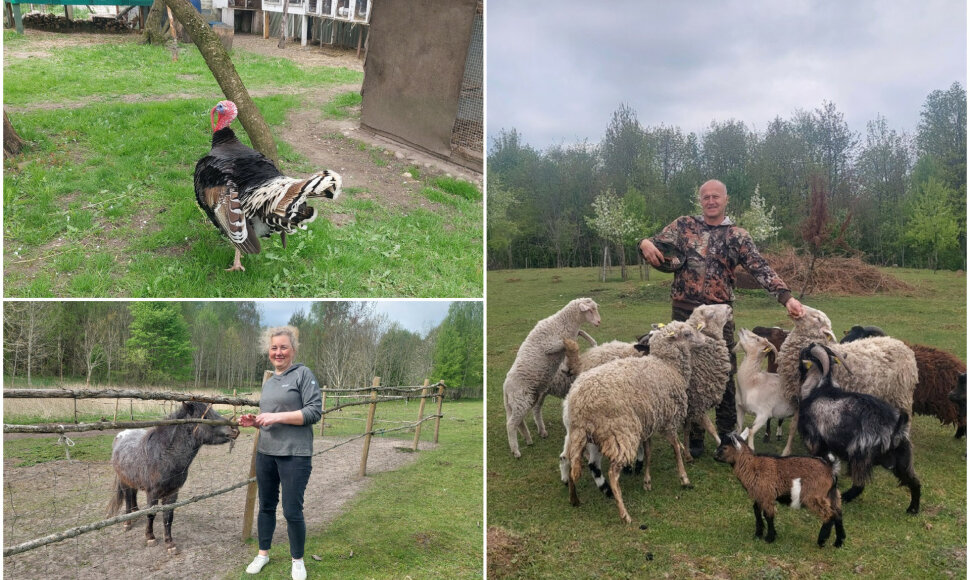 Ingridos ir Roberto Dabužinskų &bdquo;Mažųjų draugų&ldquo; ūkis