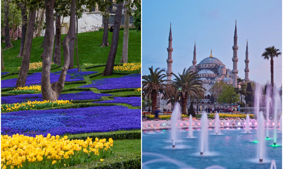 Stambulas, Turkija