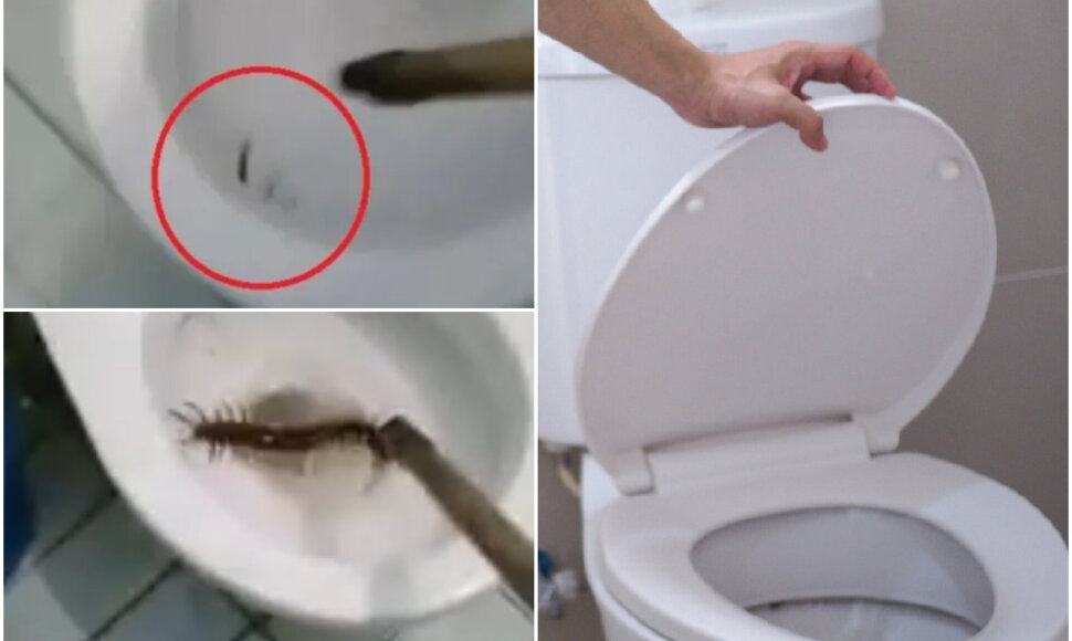 Vyras vie&scaron;bučio tualete aptiko didžiulį &scaron;imtakojį