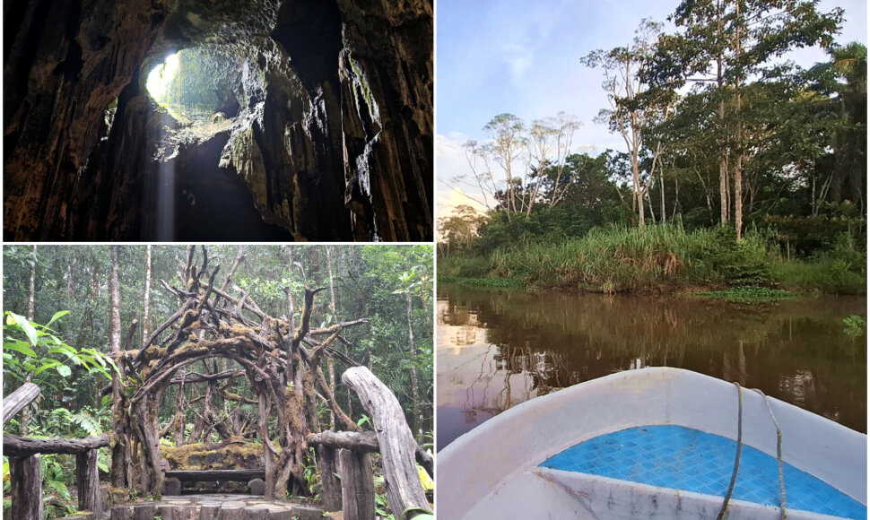 Borneo sala