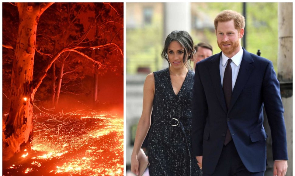 Miškų gaisrai Australijoje, Meghan Markle, princas Harry