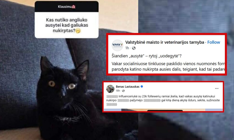 Influencerės įrašas