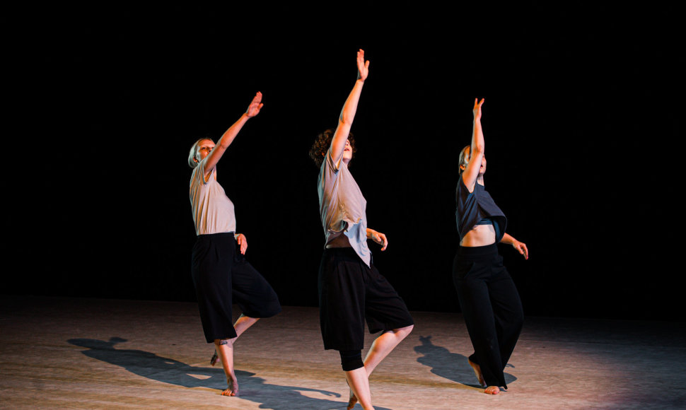 Audros akis. Eye of the Storm. Šeiko šokio teatras