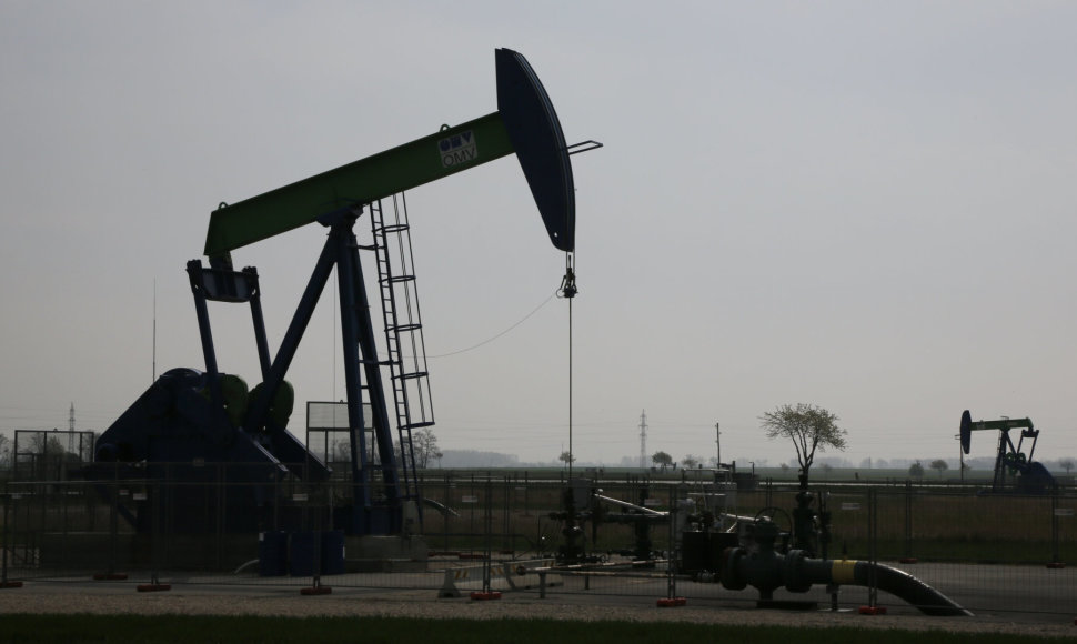 Naftos gavybos platforma