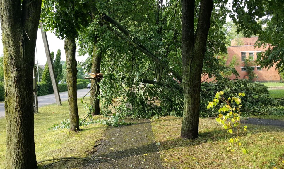 Škvalas vartė medžius Antanave.