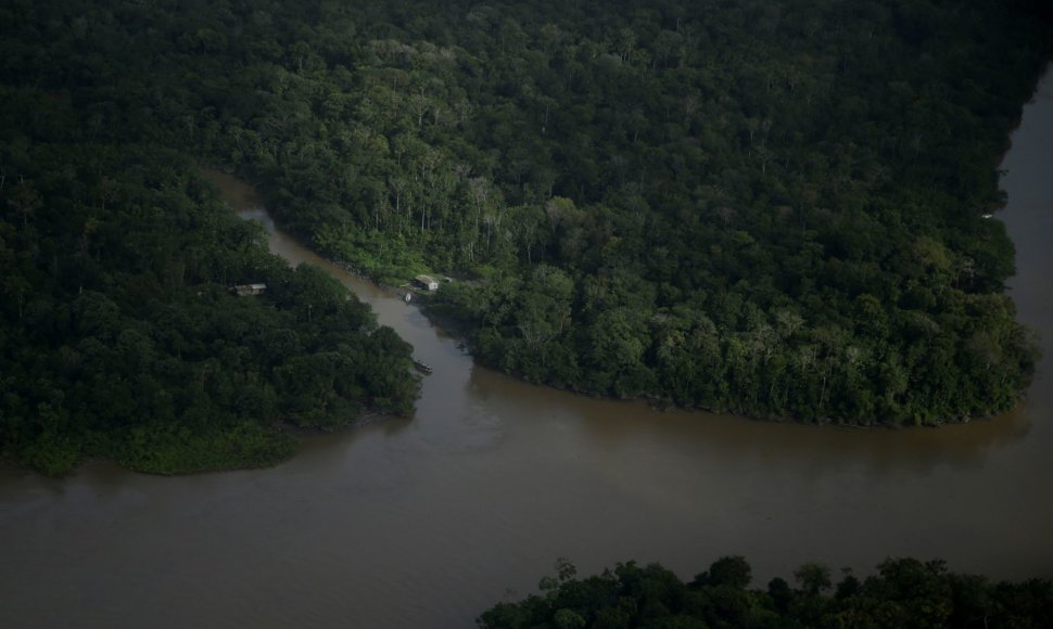 Amazonės žiotyse naftos ieškoti planuojantys brazilai kelia pavojų vietinei bendruomenei ir gamtai