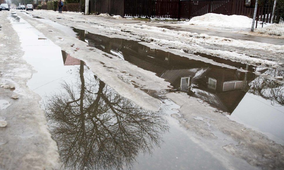 Sniegą Vilniuje keičia balos