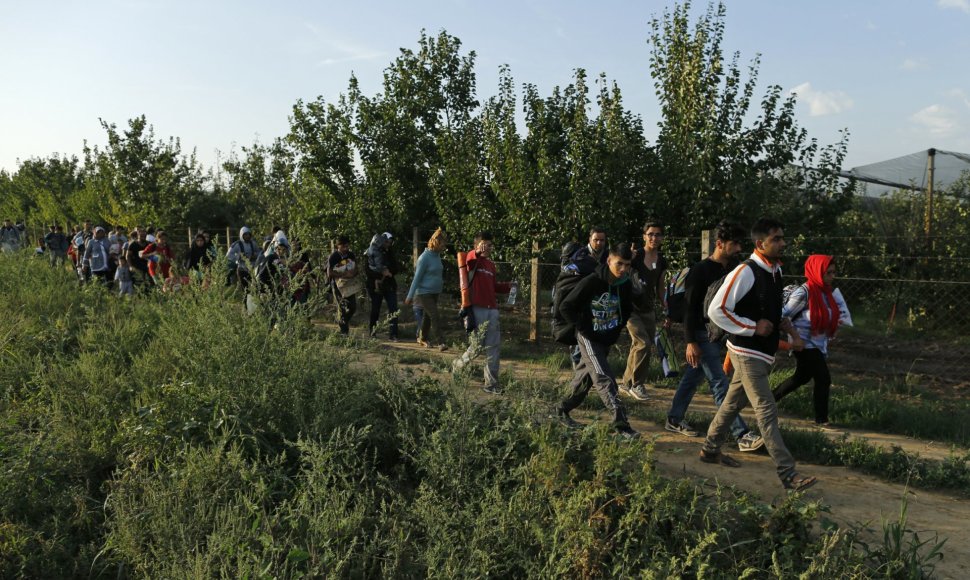 Migrantai keliauja iš Serbijos į Kroatiją
