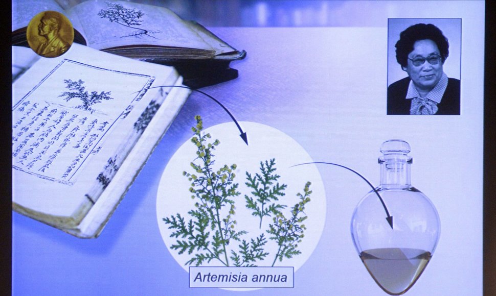 Nobelio medicinos premiją laimėjo Japonijos, Kinijos ir Airijos mokslininkai