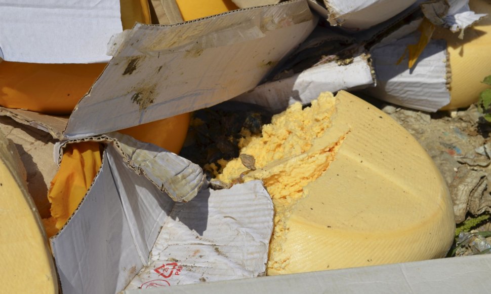 Sūrio naikinimo akcija Rusijoje