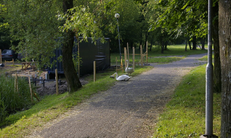 Trinyčių tvenkinys