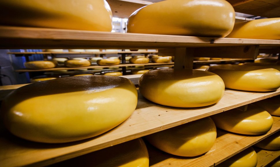 Olandiški sūriai 