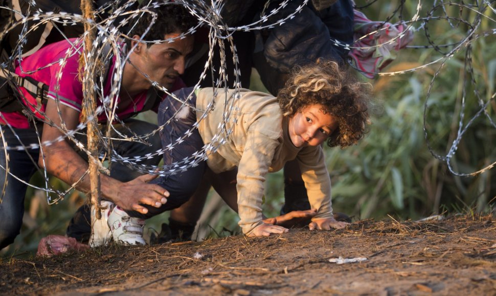 Pabėgėliai braunasi pro dygliuotą vielą bando patekti į Vengriją