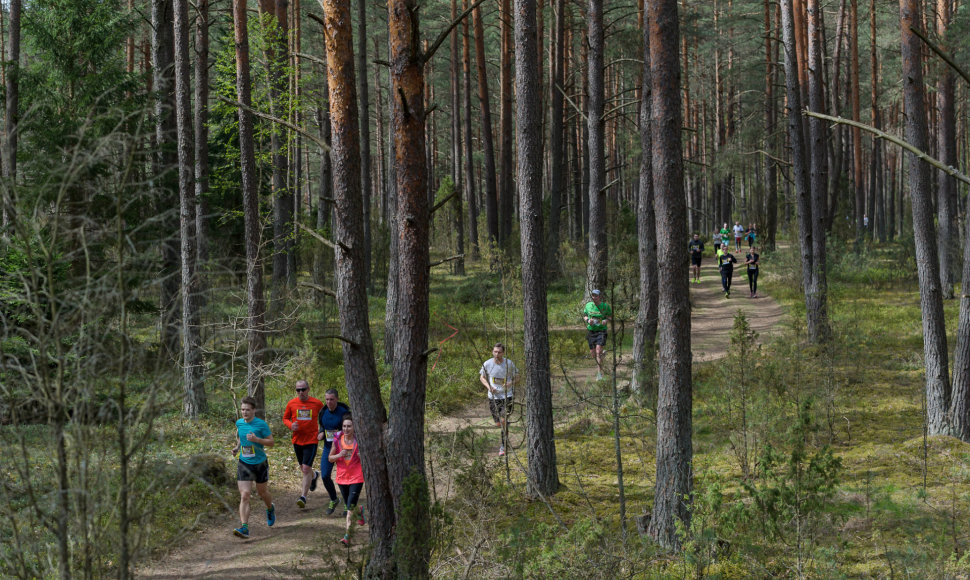 bėgimo varžybos „Miško trasa“