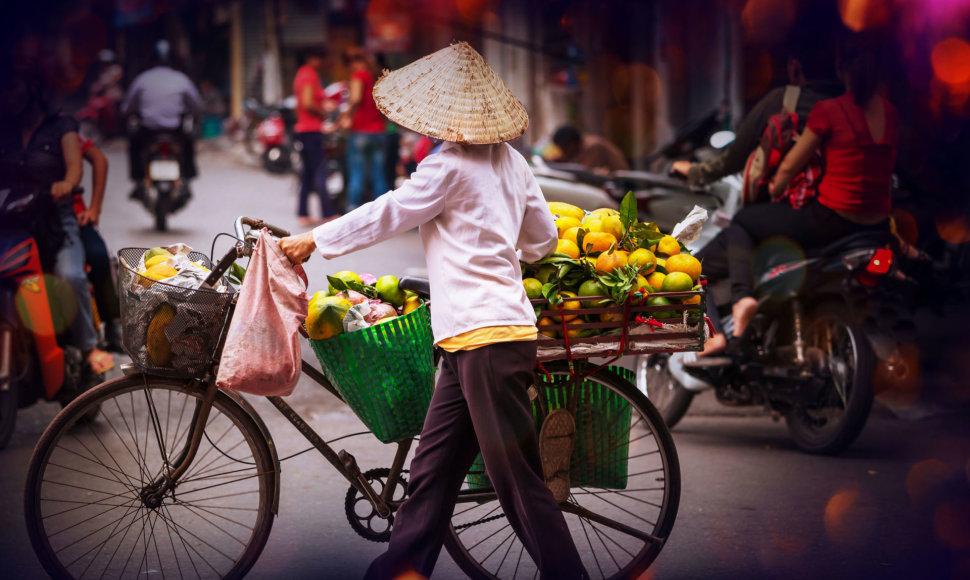 Egzotiški Vietnamo kontrastai: nuo tūkstančių ryžių skonių, krioklių iki paplūdimio idilės