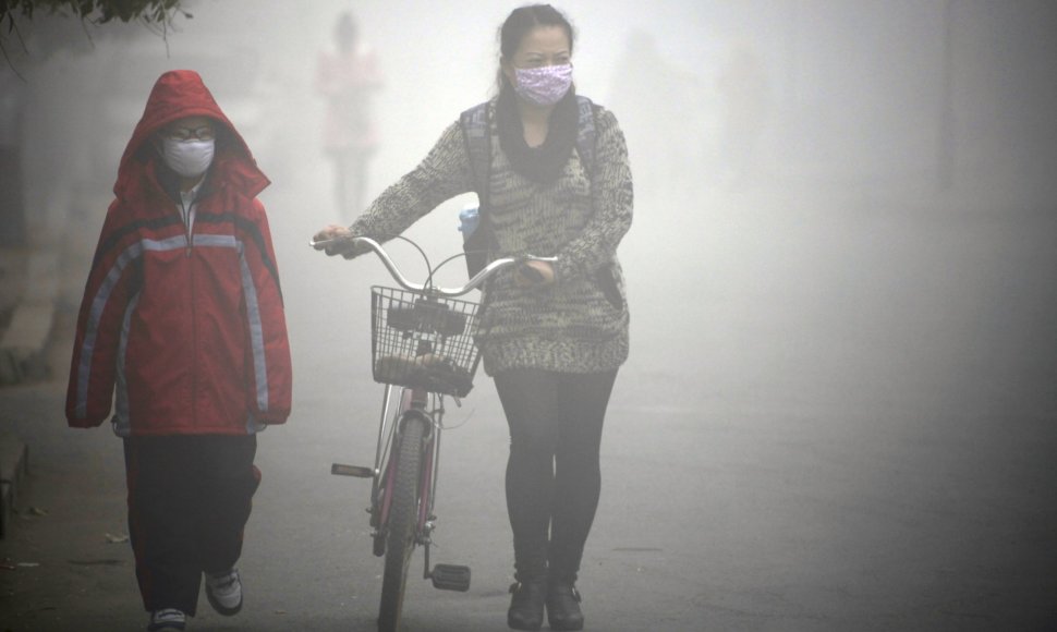 Oro tarša kinams antra didžiausia šalies problema po korupcijos