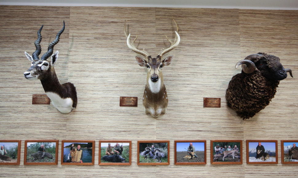 Medžioklės trofėjų ekspozicija