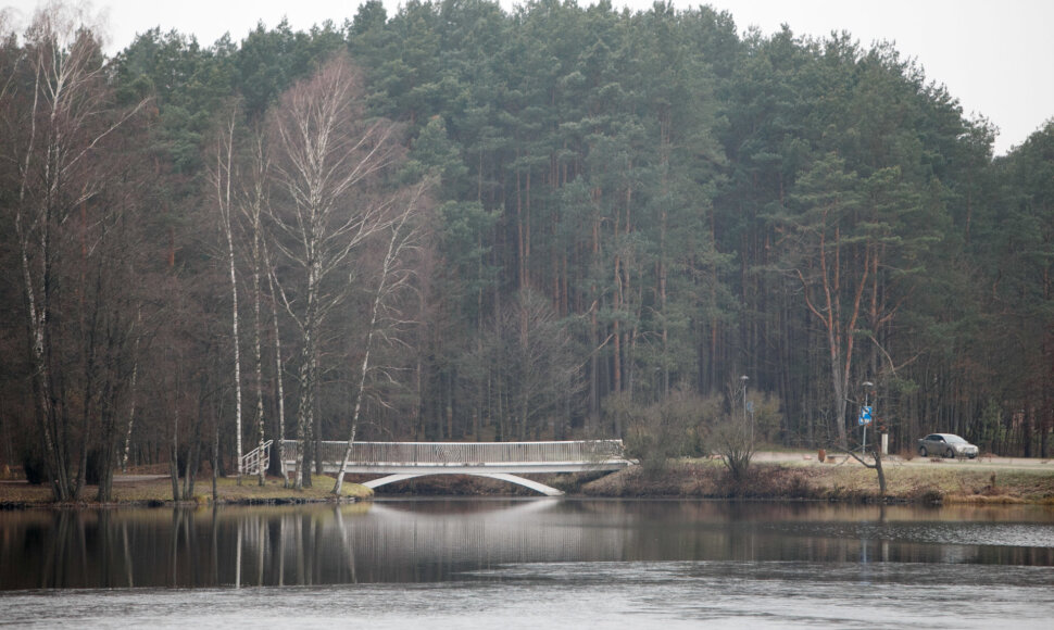 Vijūnėlės tvenkinys