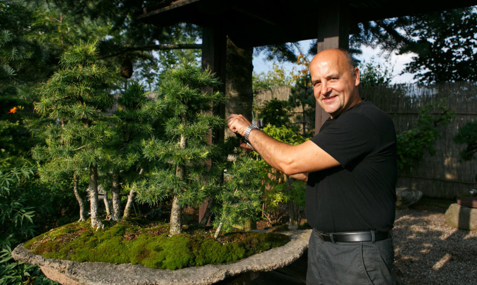 Bonsai oazė Kęstučio Ptakausko namuose