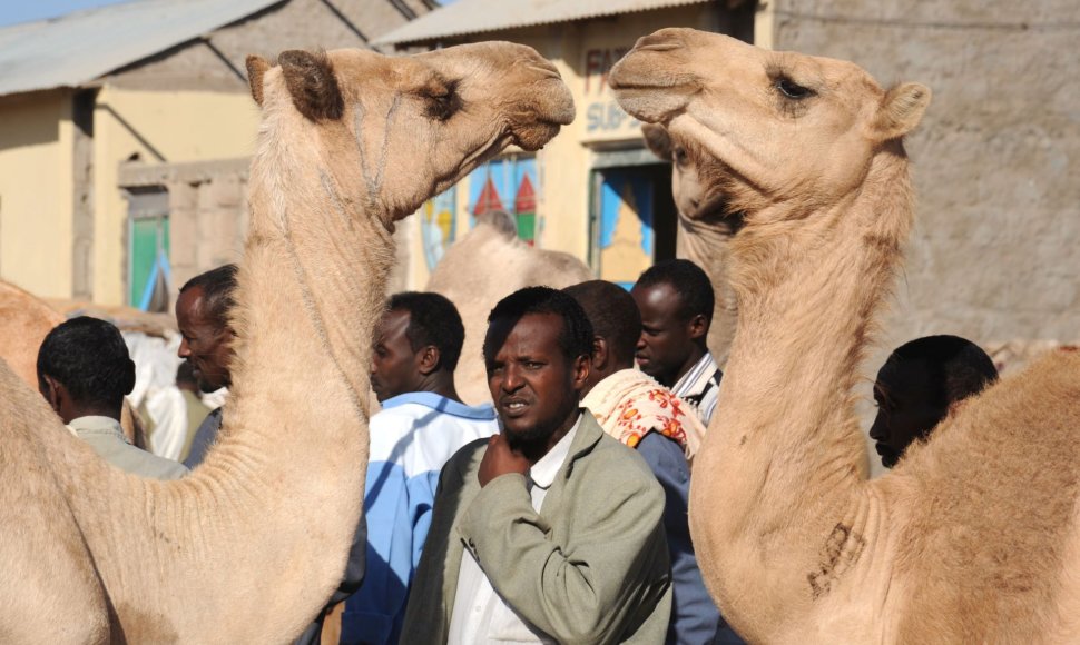 Somalis