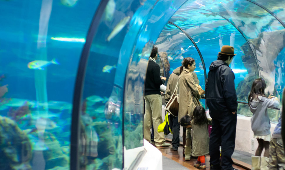 Barselonos akvariume esantis tunelis