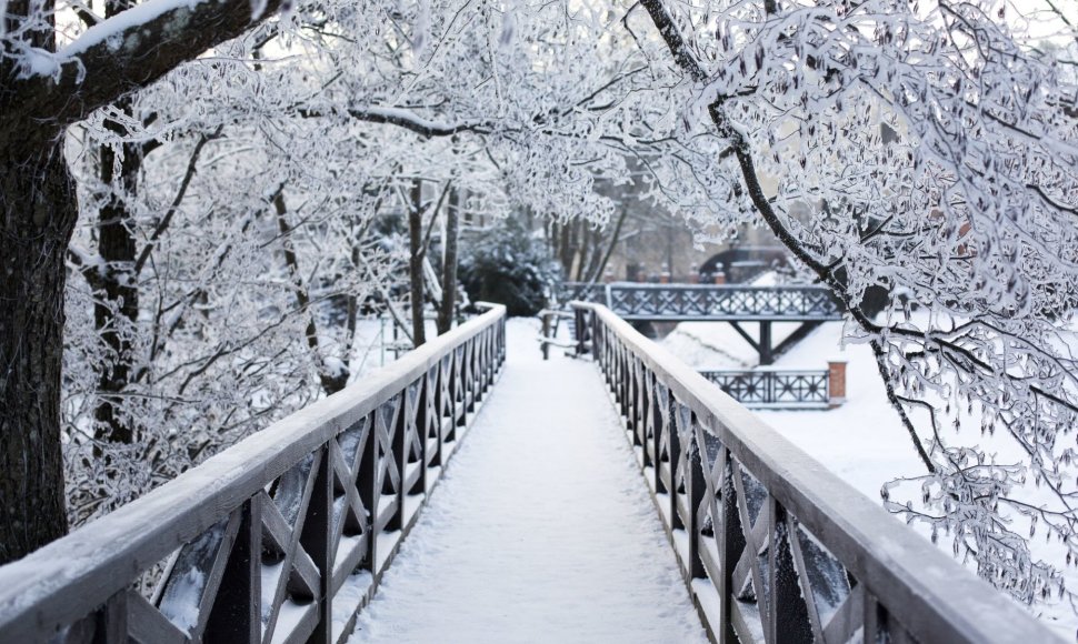 Šalčio sukaustyti Vilniaus peizažai atskleidė žiemos grožį