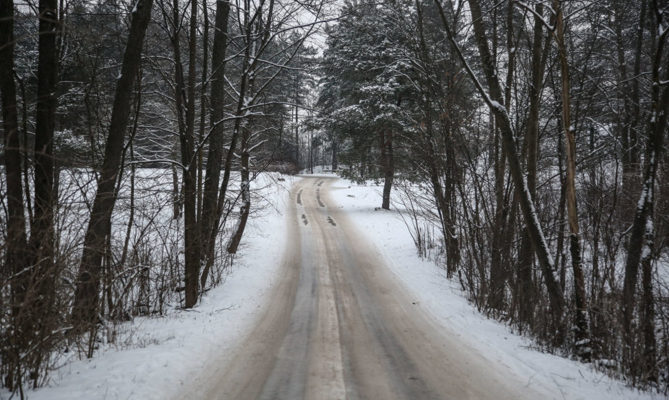 Žiema Verkių regioniniame parke